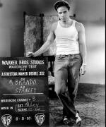 Марлон Брандо: 376x450 / 43 Кб