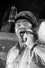 Эрнест Боргнайн: 276x420 / 25 Кб