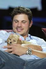 Ник Лаше: 268x400 / 22 Кб