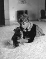 Сандра Ди: 316x400 / 25 Кб