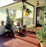 Марло Томас: 440x450 / 63 Кб