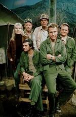 МакЛин Стивенсон: 294x450 / 35 Кб