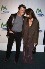 Пирс Броснан: 263x400 / 22 Кб