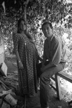 Барбара Херши: 268x400 / 37 Кб