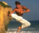 Пол Логан: 369x315 / 19 Кб