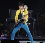 Ron Wood: 377x355 / 23 Кб