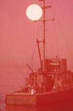 Ричард Дрейфусс: 844x1280 / 106 Кб