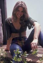 Линдсей Вагнер: 287x420 / 26 Кб