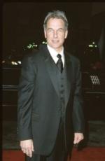 Марк Хэрмон: 262x400 / 13 Кб