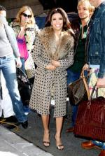 Ева Лонгория: 270x400 / 42 Кб