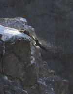 Кристиан Бэйл: 450x584 / 63 Кб