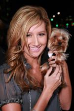 Эшли Тисдейл: 400x600 / 60 Кб