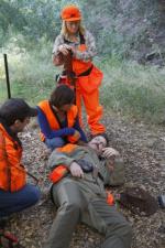 Эми Полер: 400x600 / 71 Кб