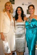 Гвинет Пэлтроу: 268x400 / 29 Кб