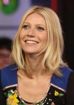 Гвинет Пэлтроу: 285x400 / 24 Кб