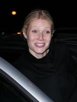 Гвинет Пэлтроу: 300x400 / 15 Кб