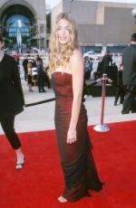 Дениз Ричардс: 261x400 / 21 Кб