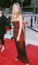 Дениз Ричардс: 235x400 / 20 Кб