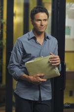 Тим Дейли: 426x640 / 36 Кб