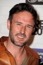 Дэвид Аркетт: 266x400 / 23 Кб