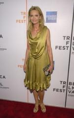 Джоан Аллен: 252x400 / 20 Кб