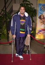 Синбад: 276x400 / 28 Кб