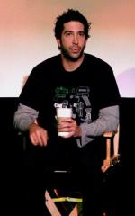 Дэвид Швиммер: 251x400 / 18 Кб