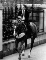 Габриель Анвар: 1595x2048 / 485 Кб