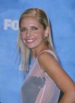 Сара Мишель Геллар: 290x400 / 15 Кб