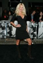 Виктория Сильвстедт: 277x400 / 25 Кб