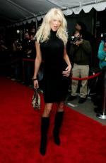 Виктория Сильвстедт: 263x400 / 22 Кб