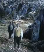 Доминик Монаган : 400x470 / 67 Кб