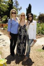 Эми Смарт: 272x400 / 38 Кб