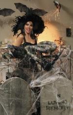 София Вергара: 410x640 / 60 Кб