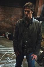 Джаред Падалеки: 332x500 / 31 Кб