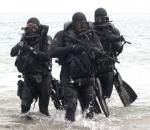 Rob Roy: 390x338 / 32 Кб