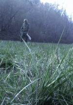 Dylan Saccoccio: 422x604 / 75 Кб