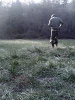 Dylan Saccoccio: 453x604 / 79 Кб