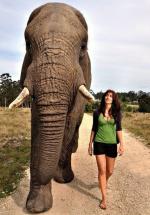 Танита Феникс: 422x603 / 80 Кб