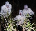 Richard Anderson: 519x449 / 73 Кб