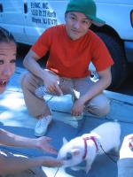 Joey Chanlin: 1200x1600 / 334 Кб