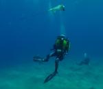 Johnny Lynch: 525x456 / 18 Кб