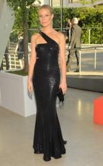 Гвинет Пэлтроу: 249x400 / 24 Кб