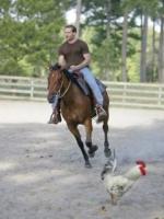 Уилл Коберг: 240x320 / 18 Кб