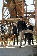 Эрик Цманда: 1353x2000 / 604 Кб