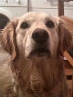 Стив Конвей: 480x640 / 60 Кб