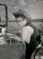 Джеймс Дин: 331x450 / 35 Кб