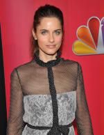 Аманда Пит: 1585x2048 / 384 Кб