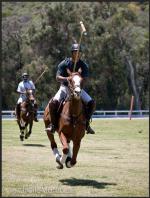 Ардершир Радпоур: 607x799 / 119 Кб