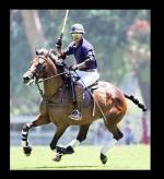 Ардершир Радпоур: 363x395 / 34 Кб